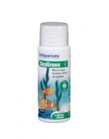 WATERLIFE - SEA GREEN - 60 ML